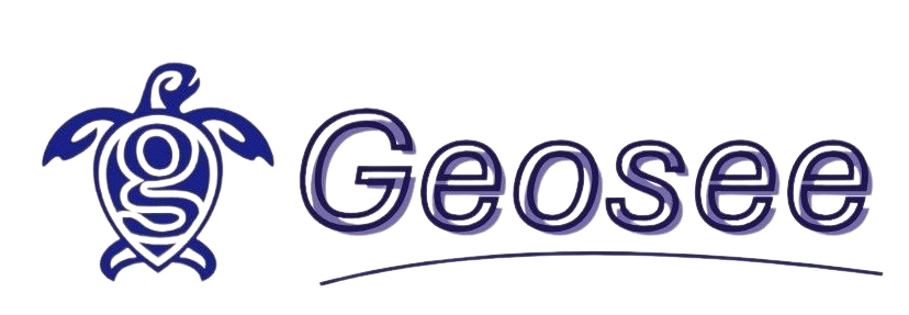 GEOSEE logo
